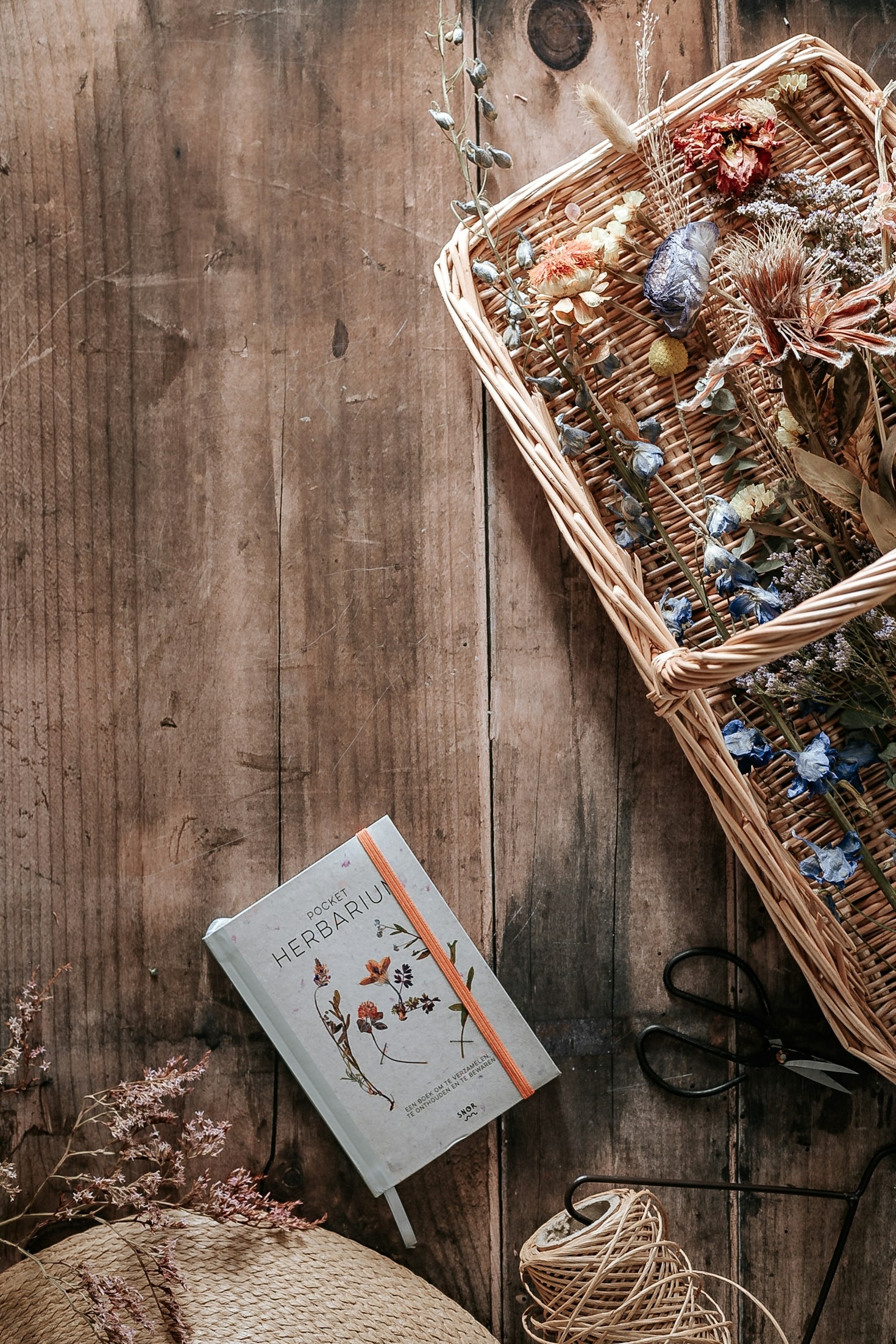 Essential Homeopathic Remedies For Every Season